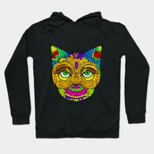 Cat abstract colorful art Hoodie